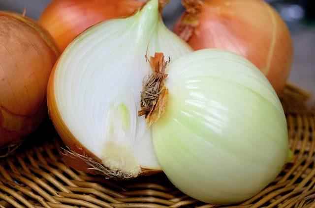 onion-1144620