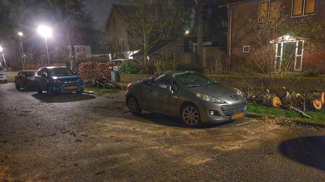 Tree on car in Amersfoort.