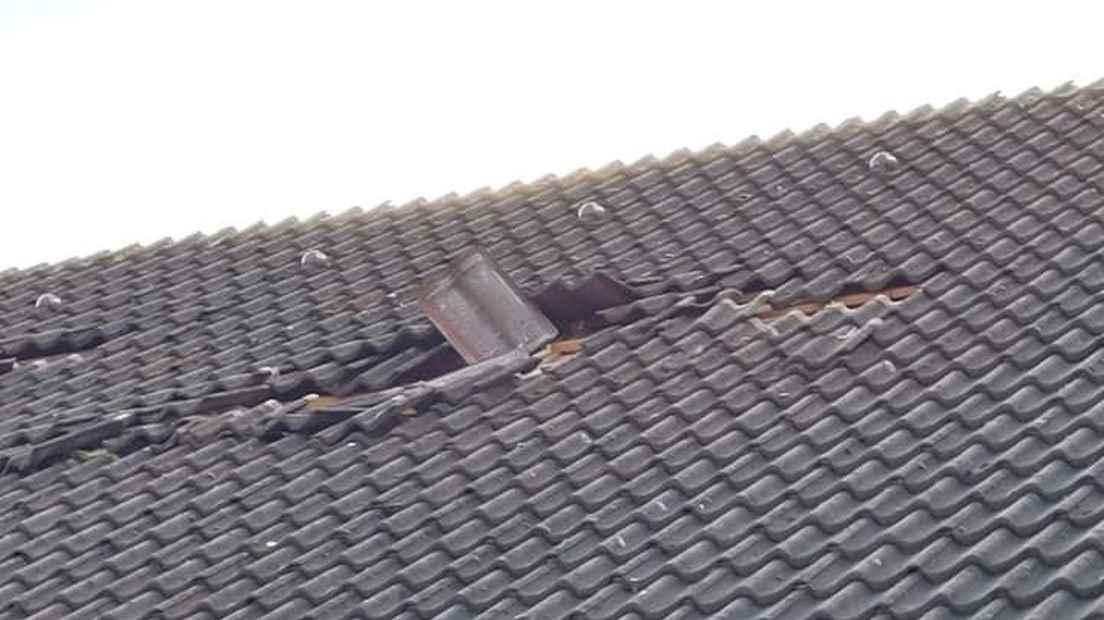 roof damage.