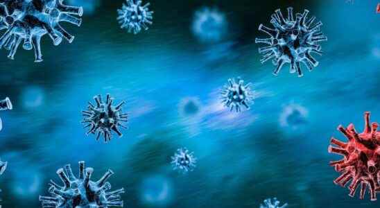 A supercomputer discovers 100000 new viruses including 9 coronaviruses