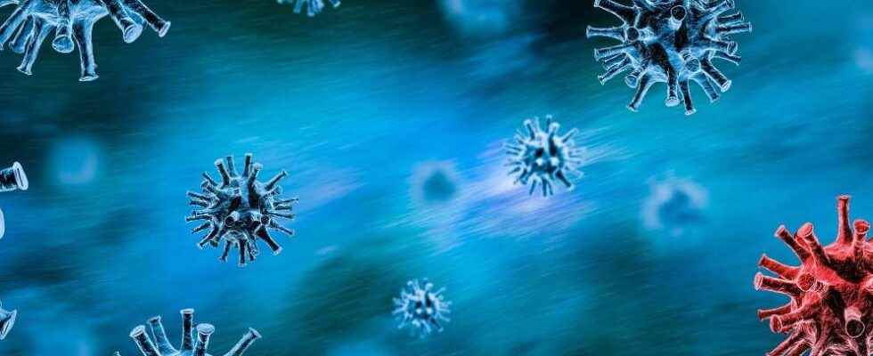 A supercomputer discovers 100000 new viruses including 9 coronaviruses