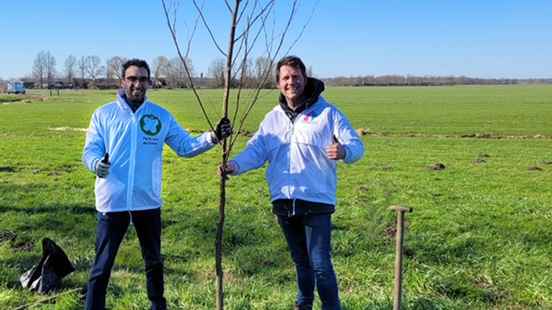 Amersfoort parties are already planting trees on fallow nature reserve