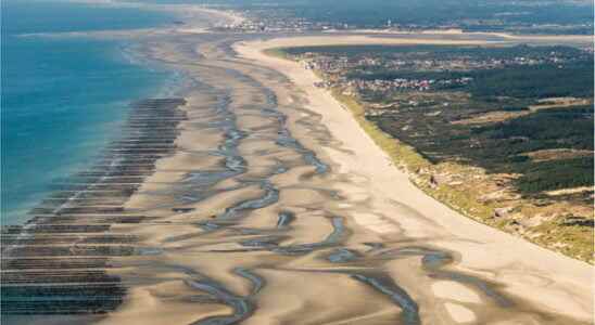 Bay of Somme seen from the sky