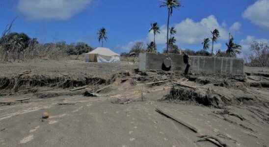 Beginning to heal its wounds Tonga reconnected to the world