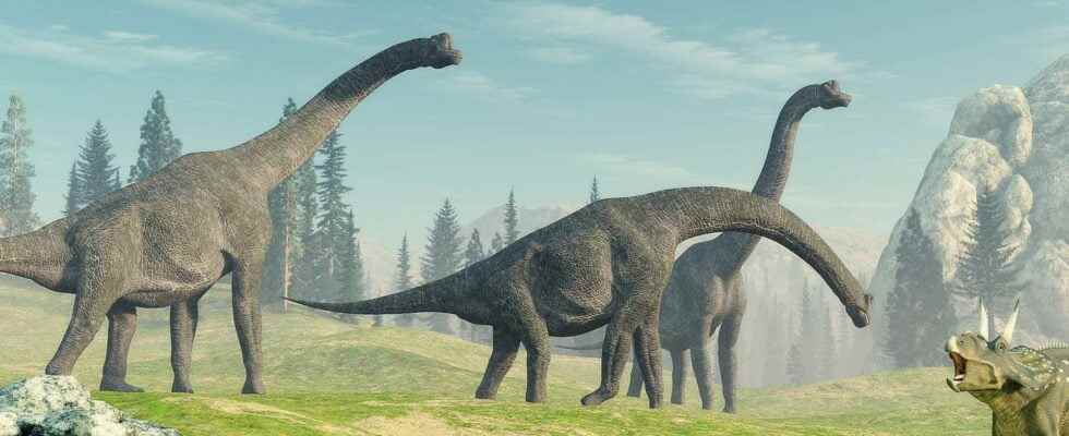 Brachiosaurus what is it