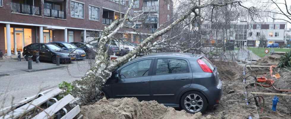 Chance of third official storm within a week Flying objects