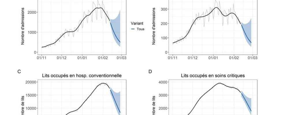 Covid 19 what do the latest projections from the Institut Pasteur