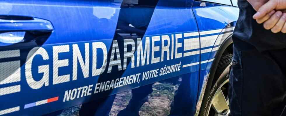 Double infanticide near Nancy a mother in police custody