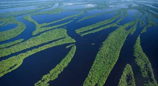 Drug pollution in rivers worrying levels for the planet