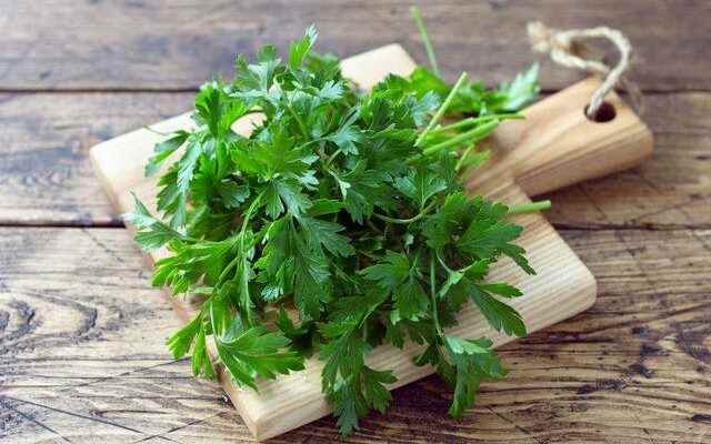 Everything you need to know about parsley and parsley juice