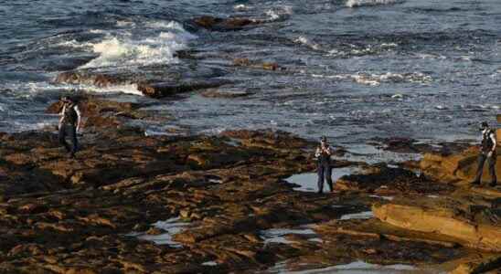 Horrible event in Australia first since 1963 Shark attacked they