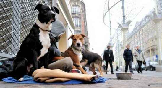 In Lille a Festival of slips to provide underwear to