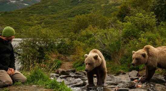 Incredible face to face in Alaska The bear in me