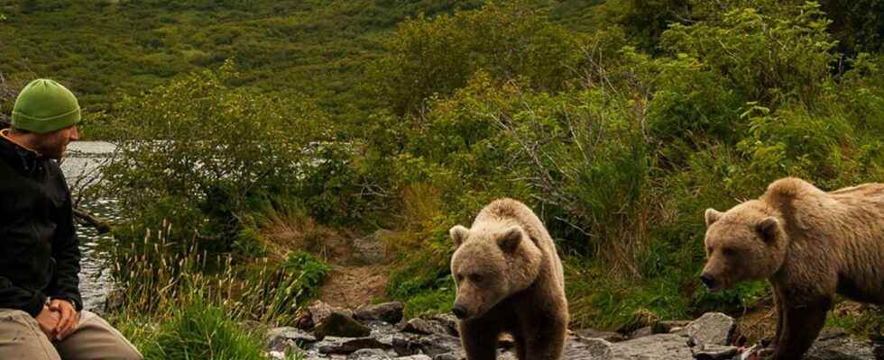 Incredible face to face in Alaska The bear in me