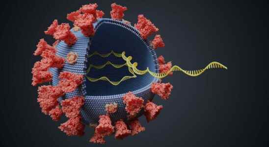 Messenger RNA what is it