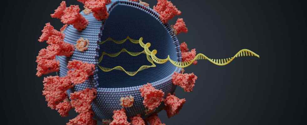 Messenger RNA what is it