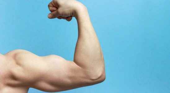 Natural foods to peak testosterone levels that men need most