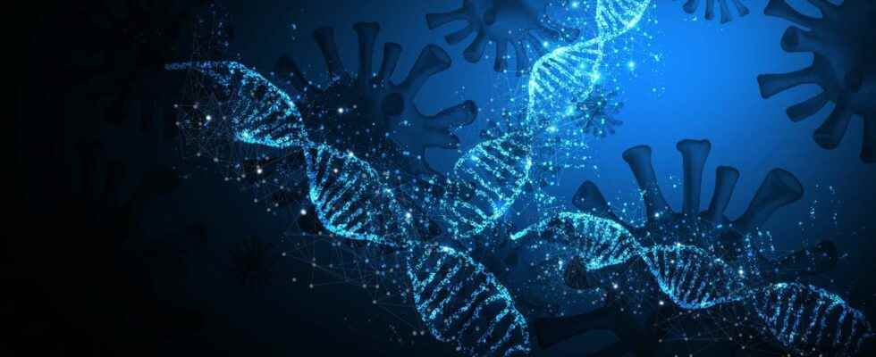 Neanderthal genes which increase the risk of Covid 19 would protect