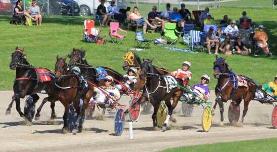 Ontario training workers for jobs in harness horse racing