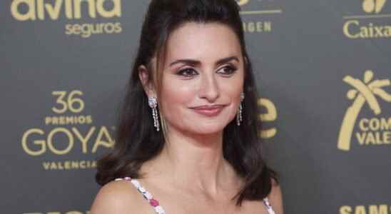 Penelope Cruz superb romantic princess at the Goya Awards