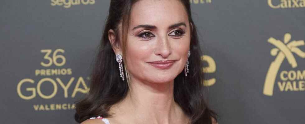 Penelope Cruz superb romantic princess at the Goya Awards