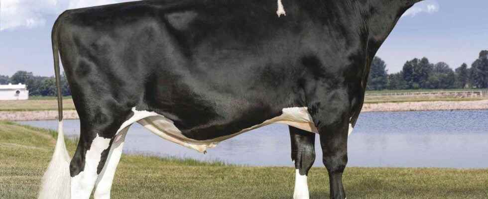 Select Sires DIAMONDBACK dies