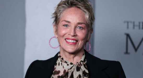 Sharon Stone 63 reveals her stunning figure