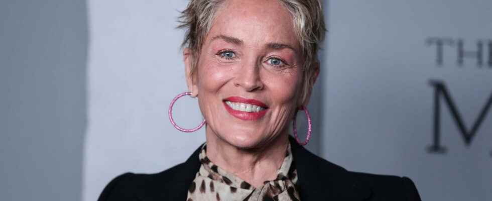 Sharon Stone 63 reveals her stunning figure