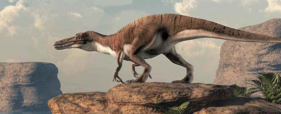 Spinosaurids what is it