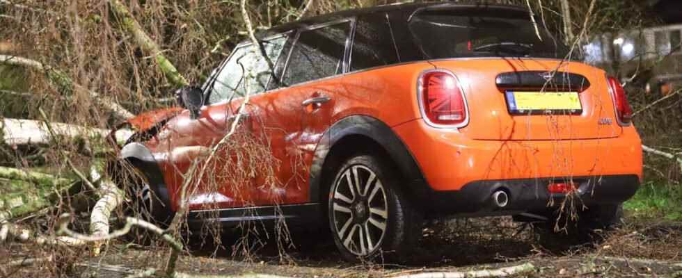 Storm Dudley keeps house problems on Utrecht highways trees on