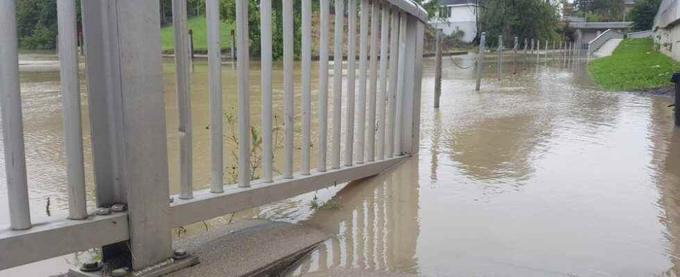 Thames River still rising but no significant flooding expected