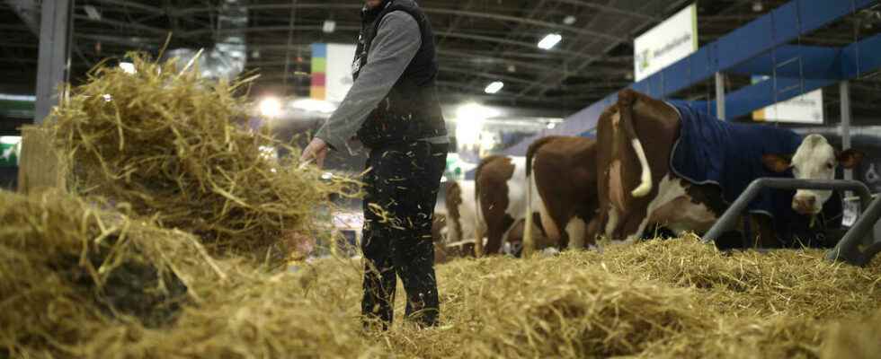 The 2022 Agricultural Show opens in Paris after two years