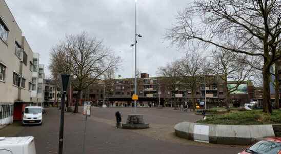 The Zeist market area remains a concern Flat everything or