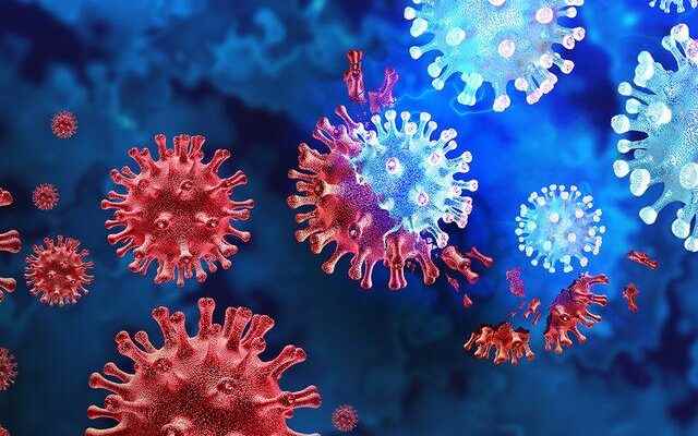 The frightening symptom of the Lassa virus that emerged years