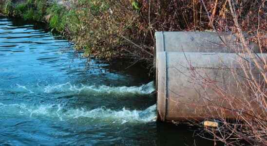 The pollution of rivers and rivers by our drugs is