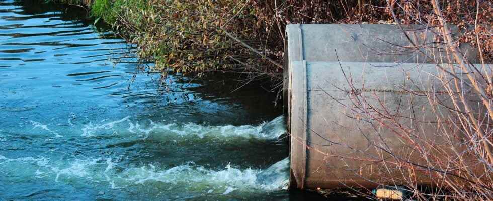 The pollution of rivers and rivers by our drugs is