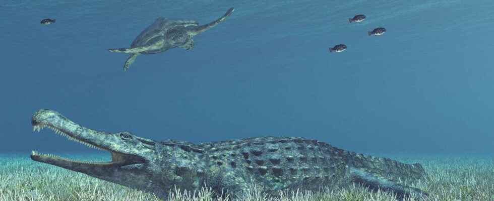 The surprising last meal of a giant Cretaceous crocodile