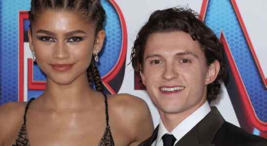 Tom Holland and Zendaya as a couple