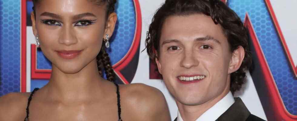 Tom Holland and Zendaya as a couple