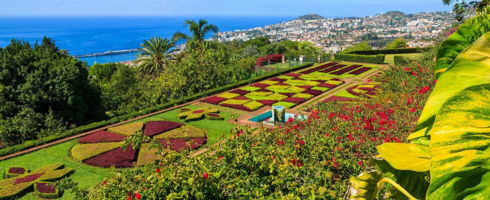 Trip to Portugal Madeira relaxes its entry conditions info