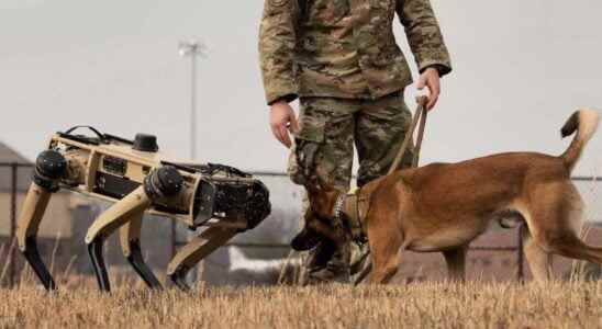 United States robot dogs deployed on the border with Mexico