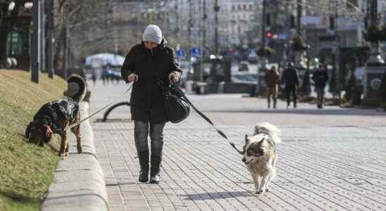 Air strikes in Kiev decreased Increased activity on the streets