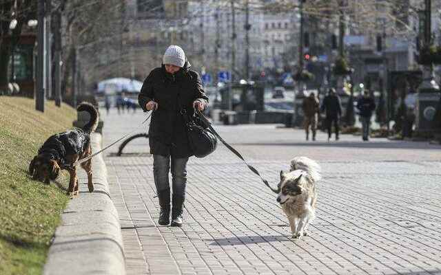 Air strikes in Kiev decreased Increased activity on the streets