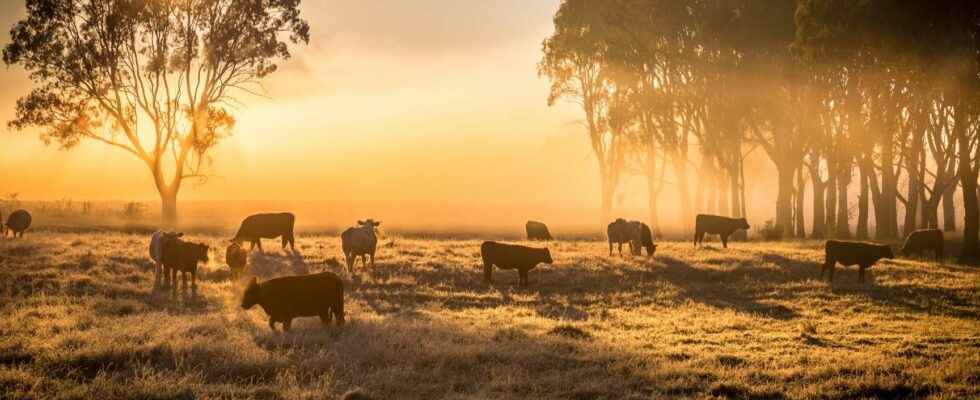 Alert drought is setting in in France and forcing us