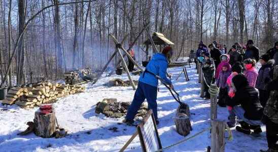 Alvinston area maple syrup festival canceled