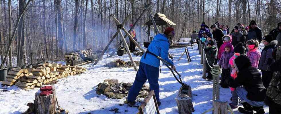 Alvinston area maple syrup festival canceled