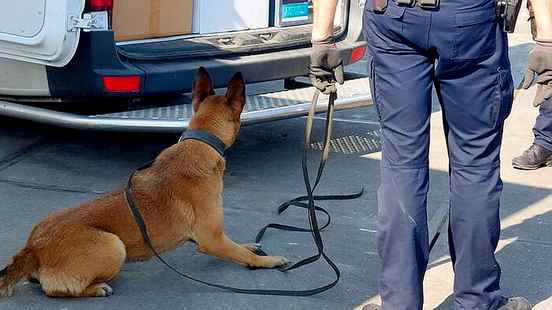 Arrests and illegal goods seized during control in Utrecht port