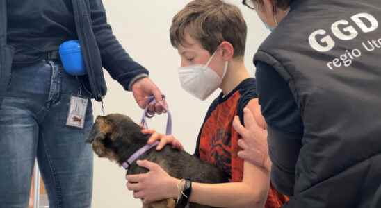 Assistance dog Deva accompanies Utrecht residents with prick fear through