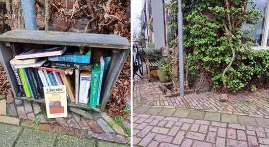 Beloved neighborhood bookcase in Utrecht with bulky waste We want