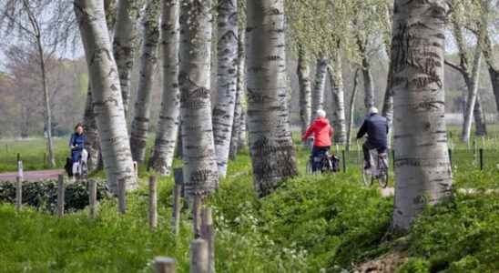 Bicycle streets and wider bicycle paths the Foodvalley region must